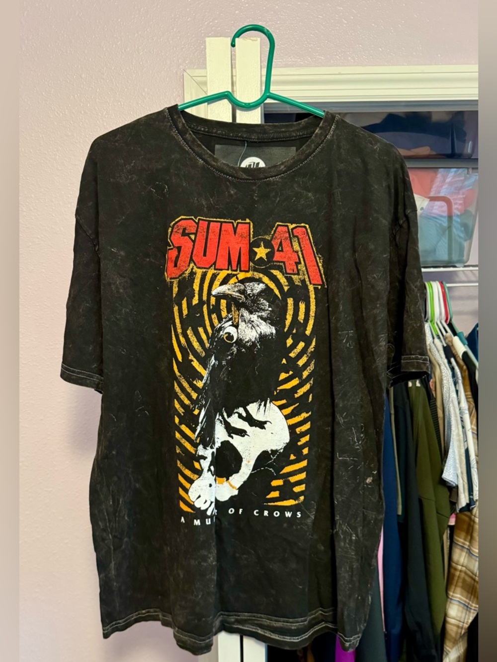 Sum 41 T Shirt Mens Large A Murder of Crows Band Tee Distressed Black